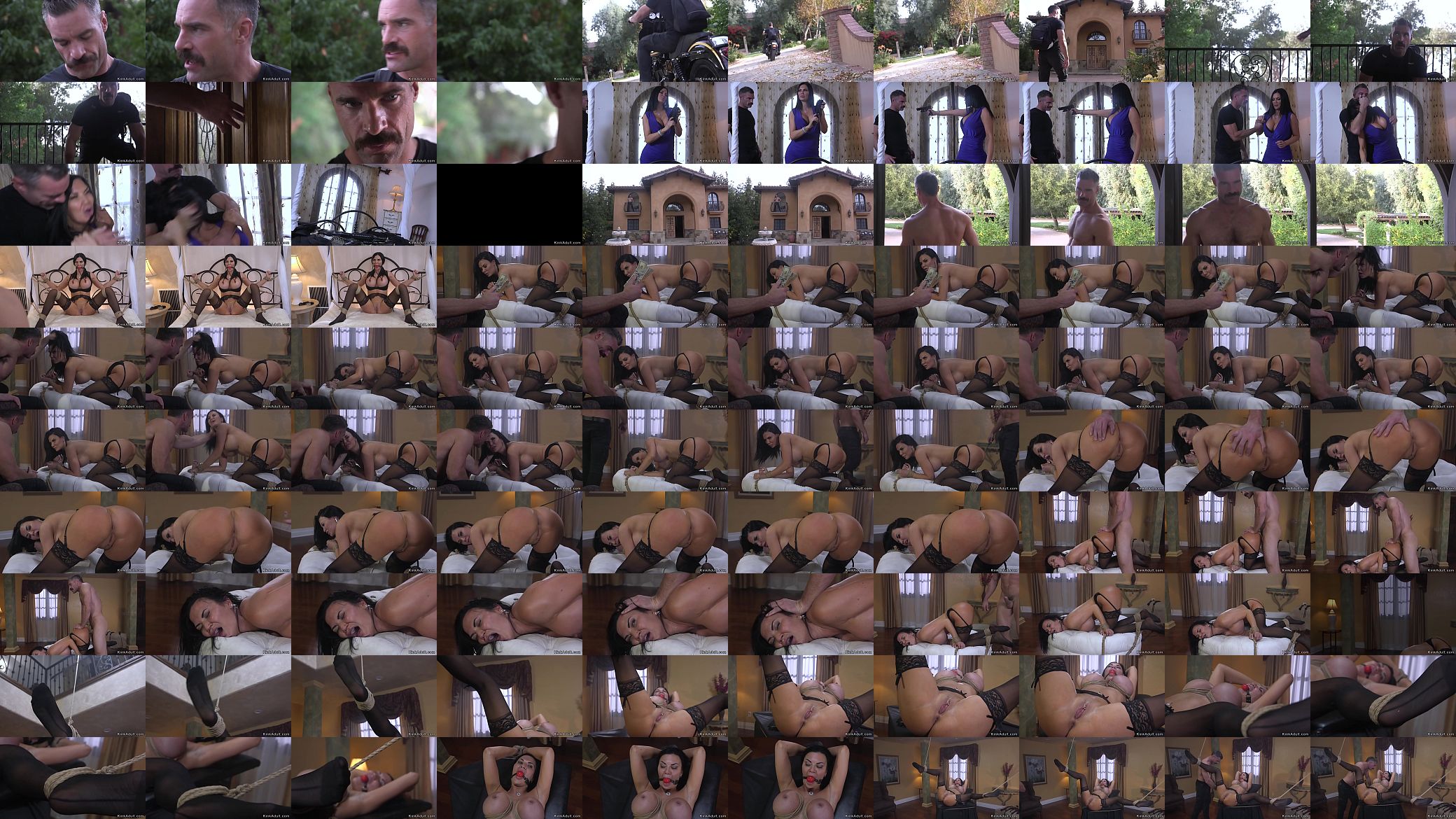 Biker ties and fucks huge tits Milf 预览图