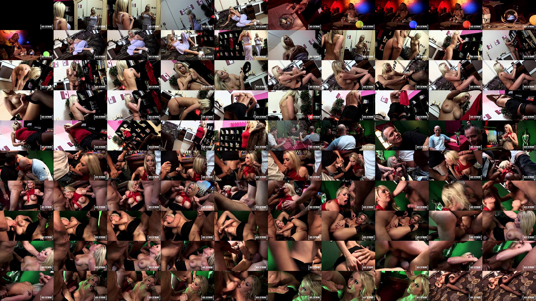 Pornstar Jamie fucks a whole bunch of cocks 预览图