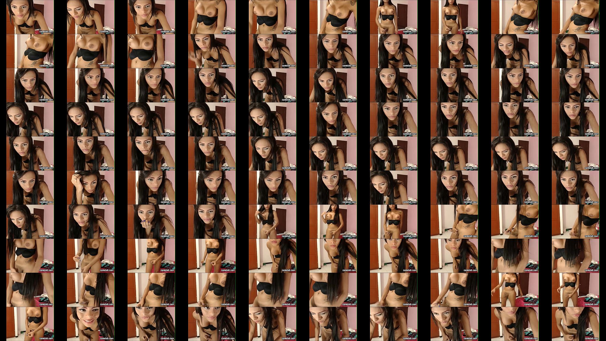 Vivacious Brunette Shemale Flirt 预览图
