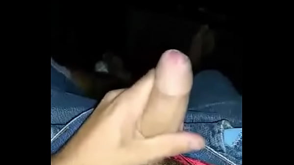 Camionneur Marié Frappe Un Sur Le Camion