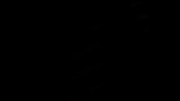 Download Video - Otro m&aacute;s de mi esposa con su amigo