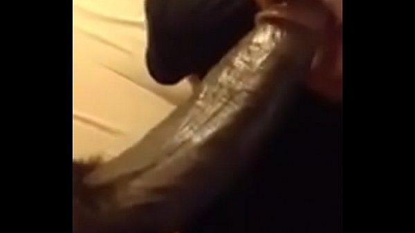 Xvideos bfb10f8e6d5981548005913420205e96