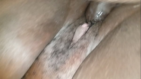 Chatte Ébène Phat