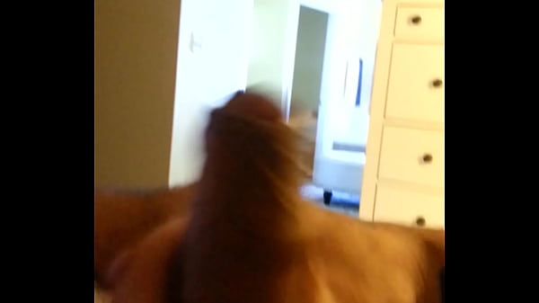 20131218 095019