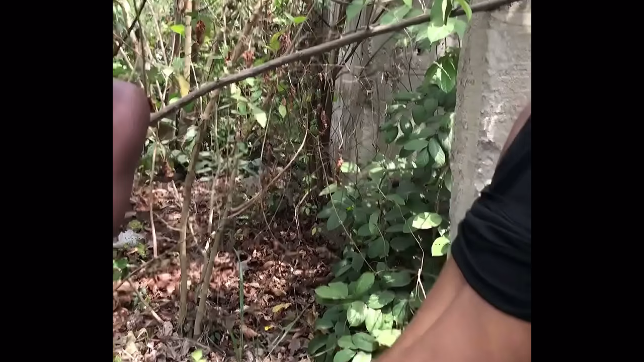 Threesomes outdoor sex with monsters cock