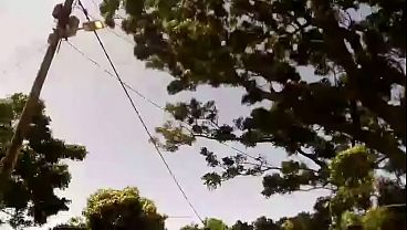 検証ビデオ