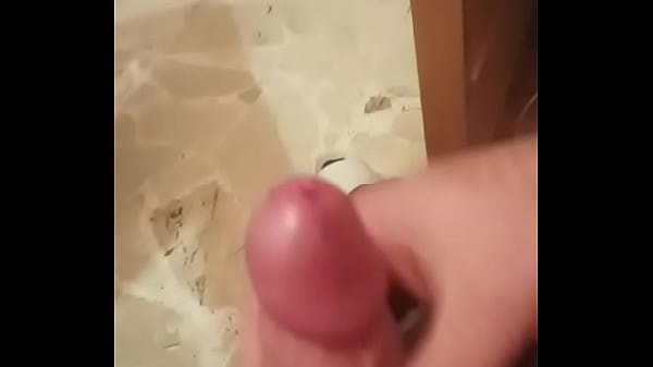 Il cazzo del puledro