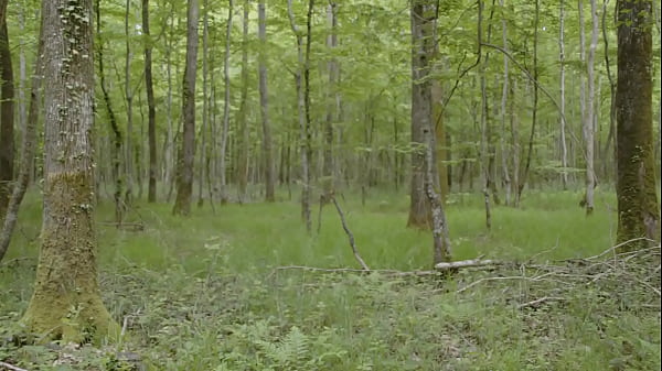 Sous le tir des chasseurs, on l'a fait ! On a bais&eacute; dans la for&ecirc;t ! ...