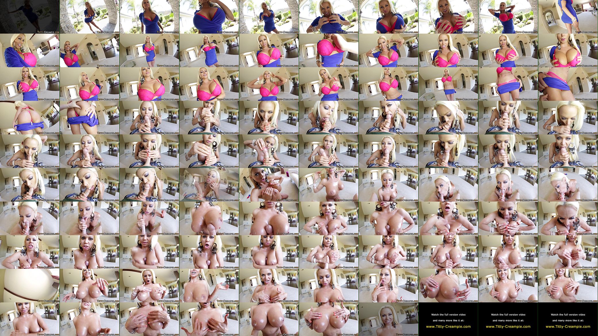 Cummy juggs latina pov 预览图