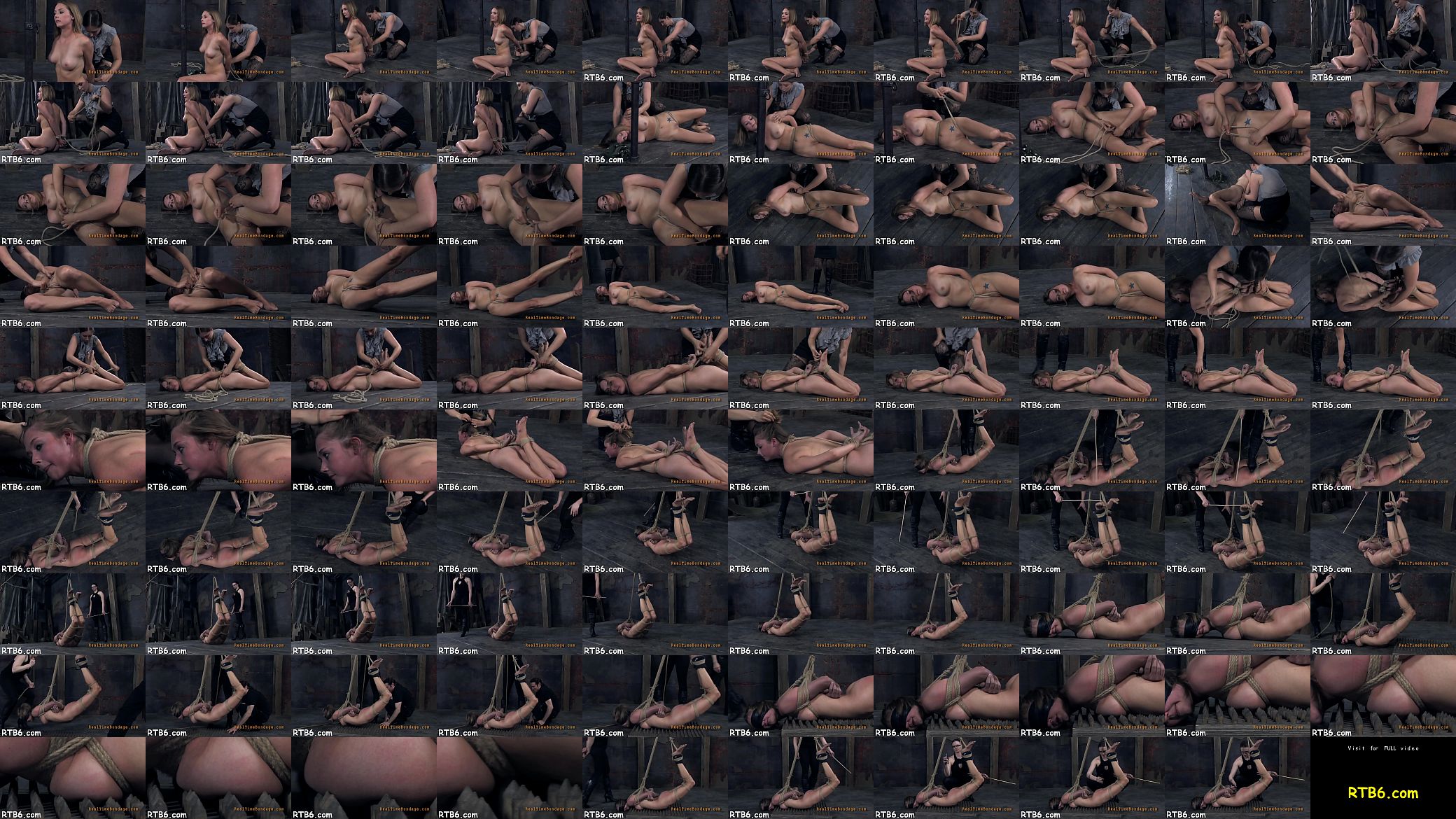 Sadomasochism kinks 预览图