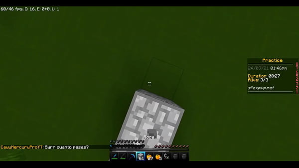 FOLLO EN MINECRAFT