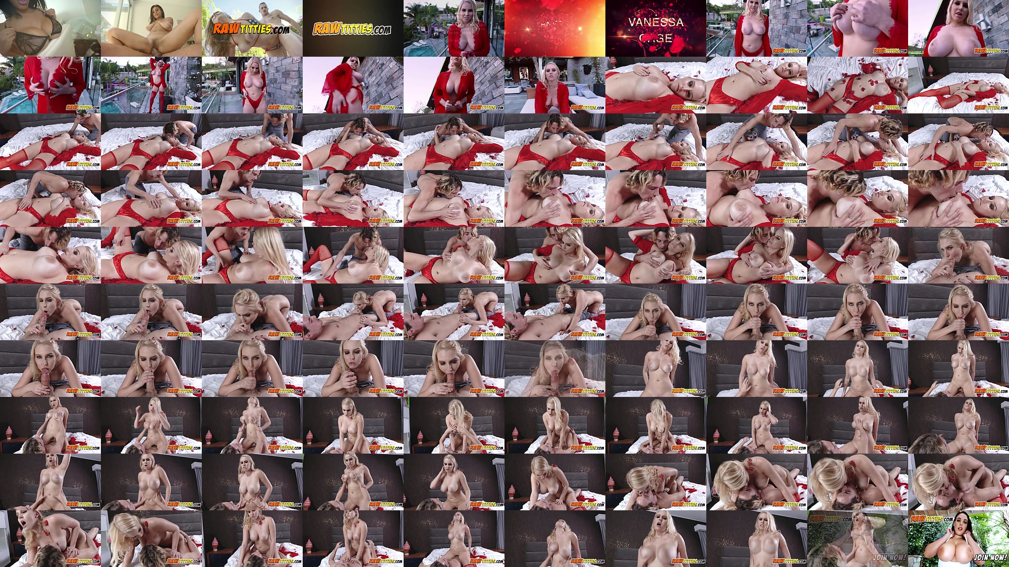 Hot blonde Vanessa gets her titties sucked and fucked 预览图