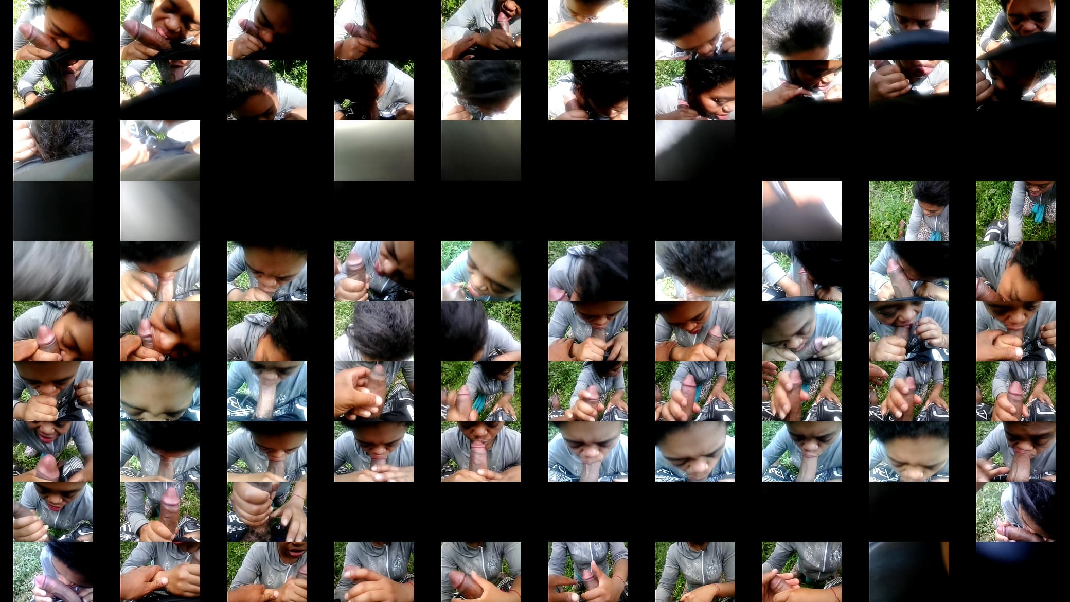 negra selvagem 预览图