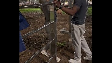"Look at the guy fucking me in your car, you cuckold" - Personal trainer with a big dick fucks the naughtiest married woman in Brazil in front of her cuckold husband after a naughty workout in the park.