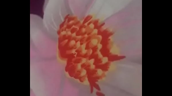 Verification video 5 sec