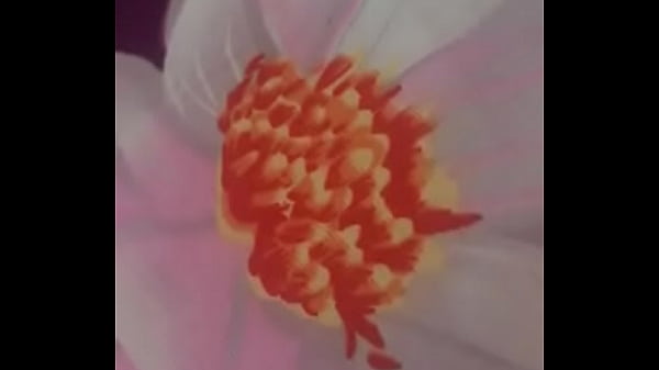 検証ビデオ
