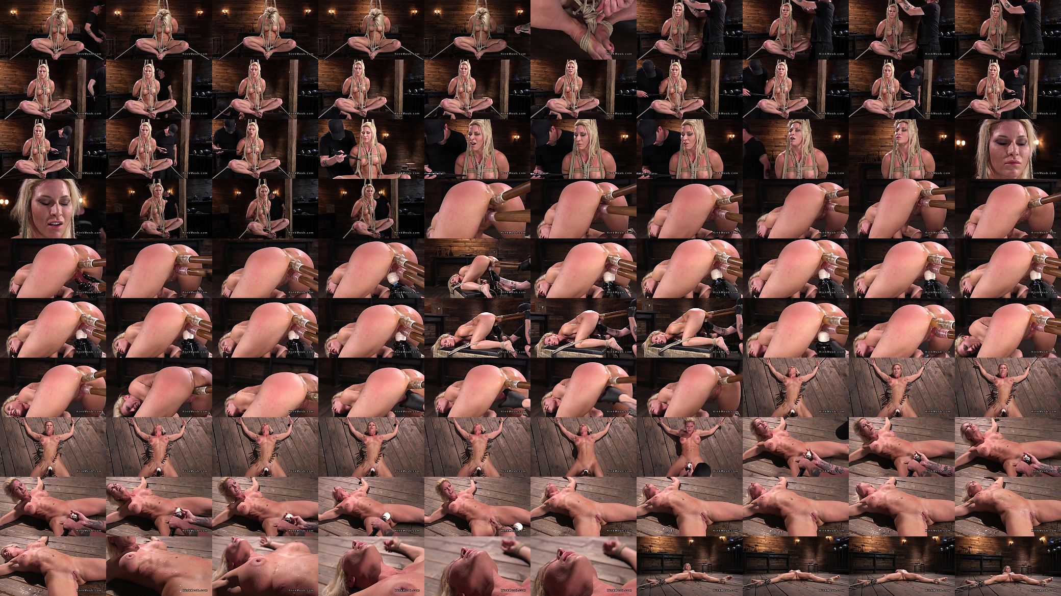 Busty slave gets double penetrated 预览图