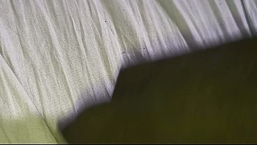Putting it in that sweet little ass.