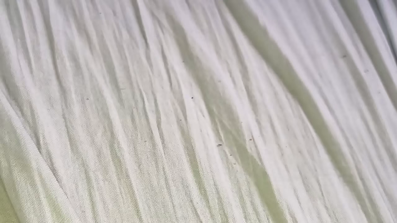 Metendo no cuzinho gostoso