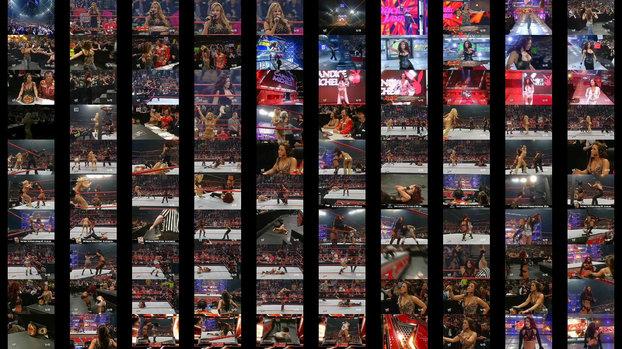 wwe raw 11 27 07 diva battle royal 预览图