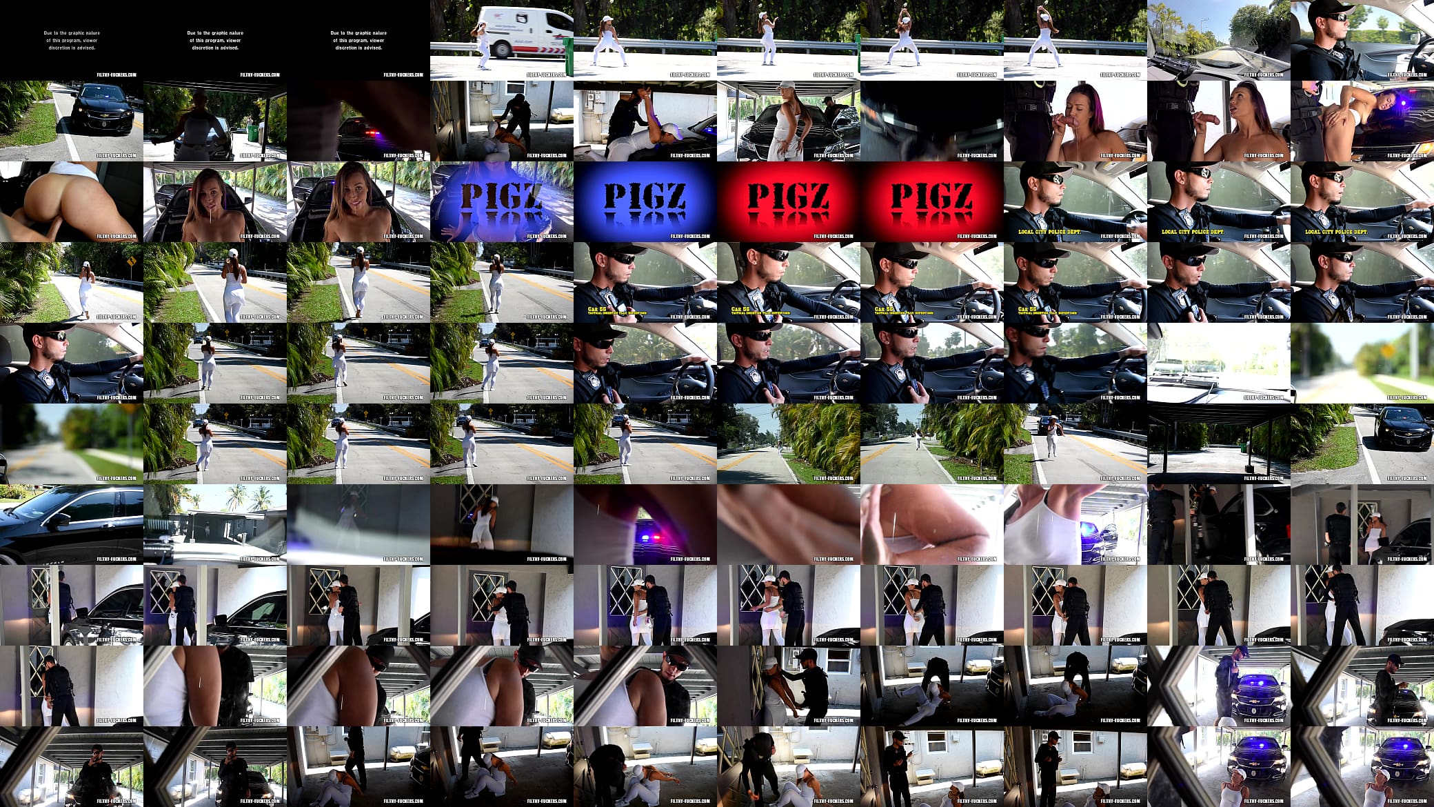 Kelsi Monroe Gets Filthy With A Rookie Cop To Avoid Hard Time 预览图