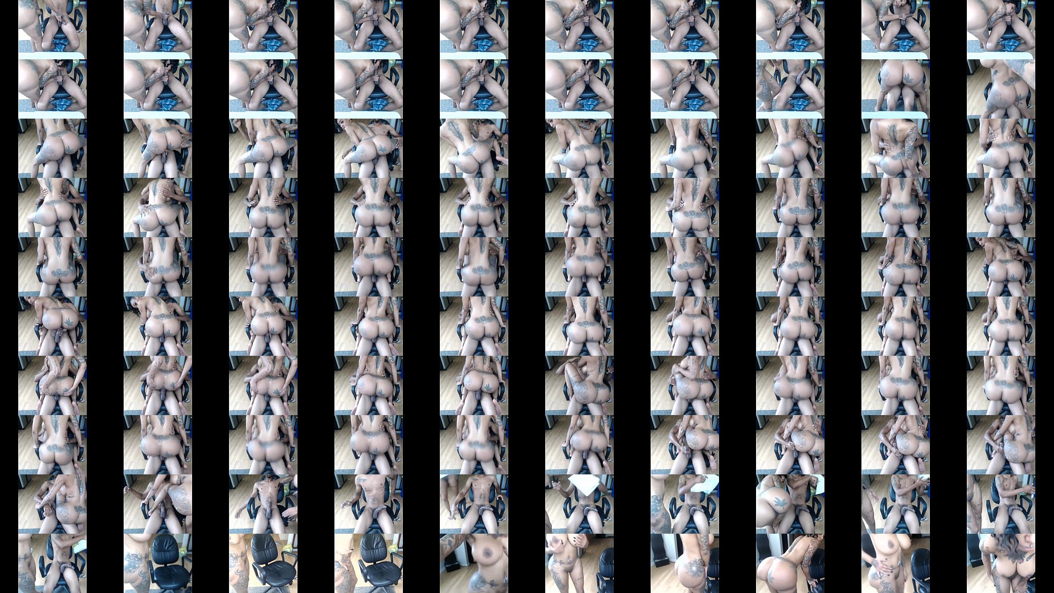 en webcam 预览图
