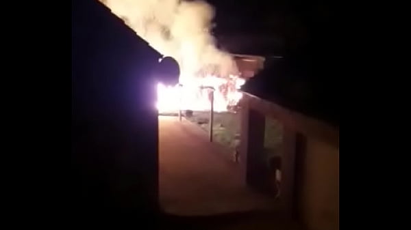 確認済みのビデオ