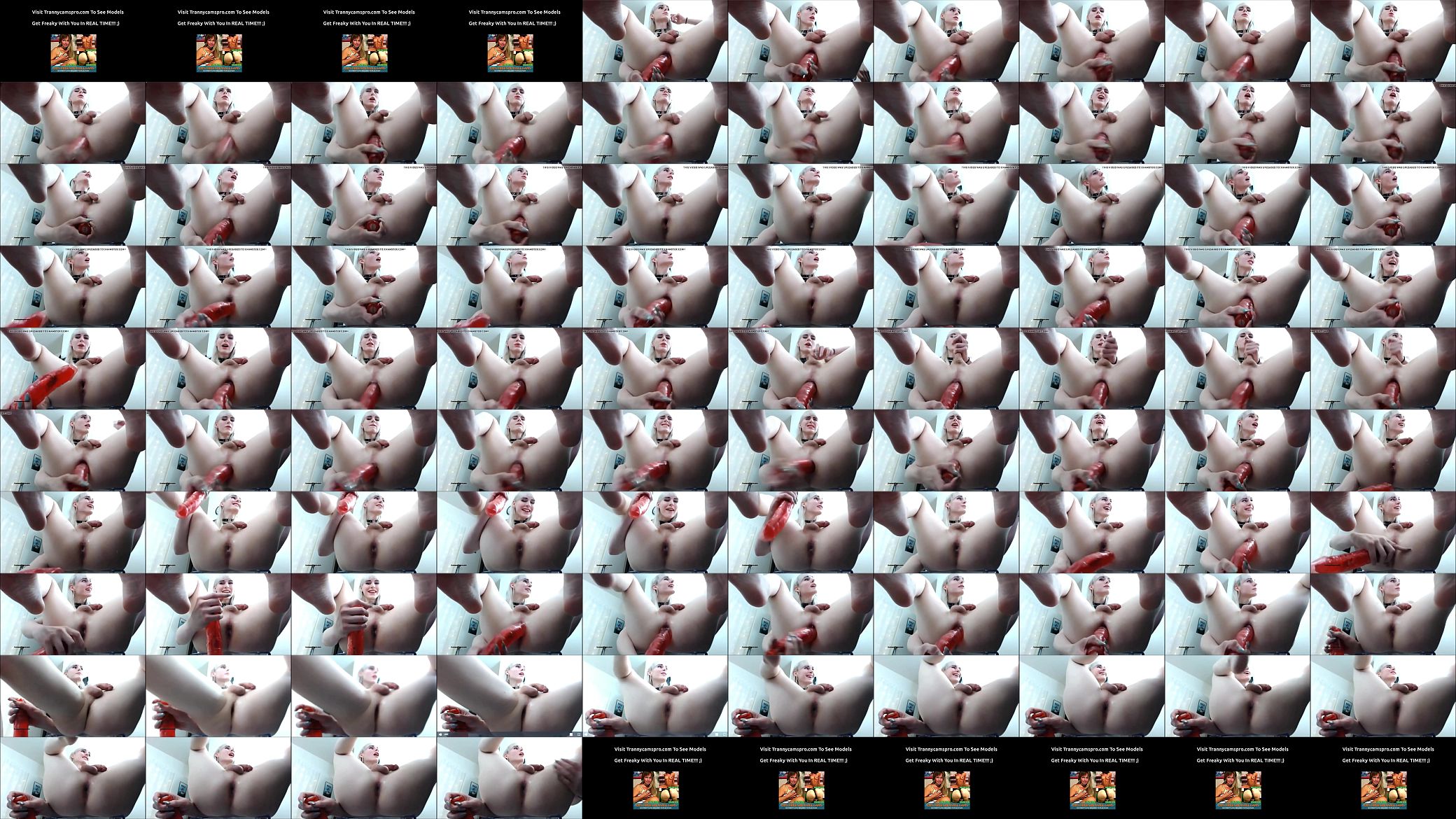Hot Shemale Plays With A Dildo ( Messed Up Audio, Sorry ) 预览图