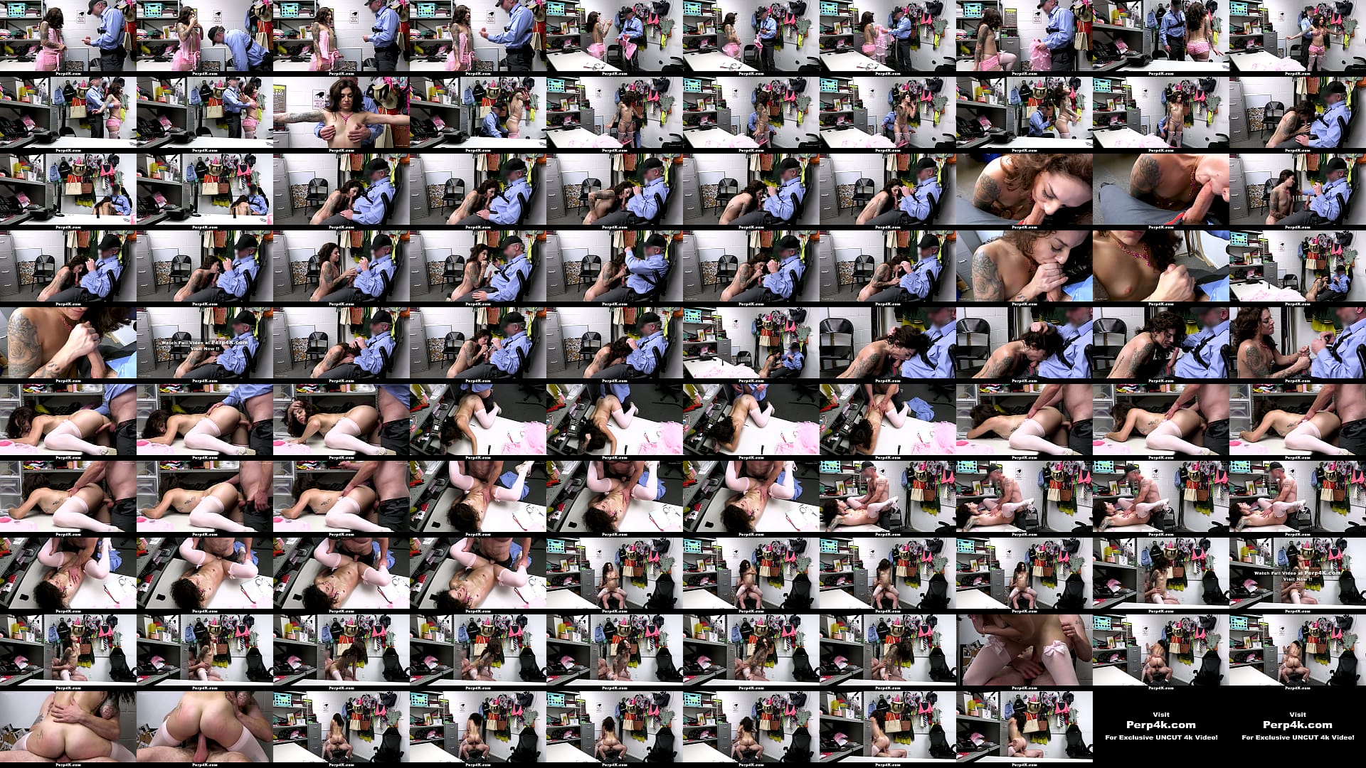Credit Card Thief Bubblez Gets Her Pussy Searched and Fucked - Perp4k 预览图