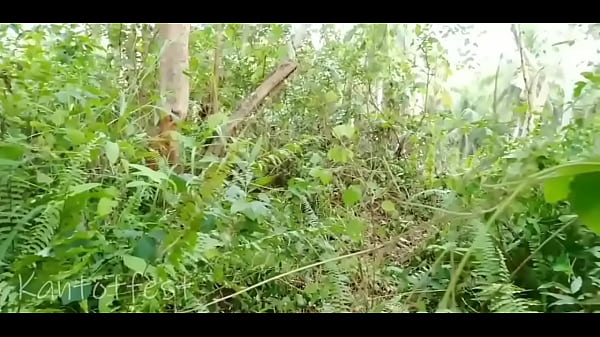 Even if there are many mosquitoes, we can't stop our lust