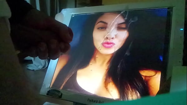 Tribute to staciesam