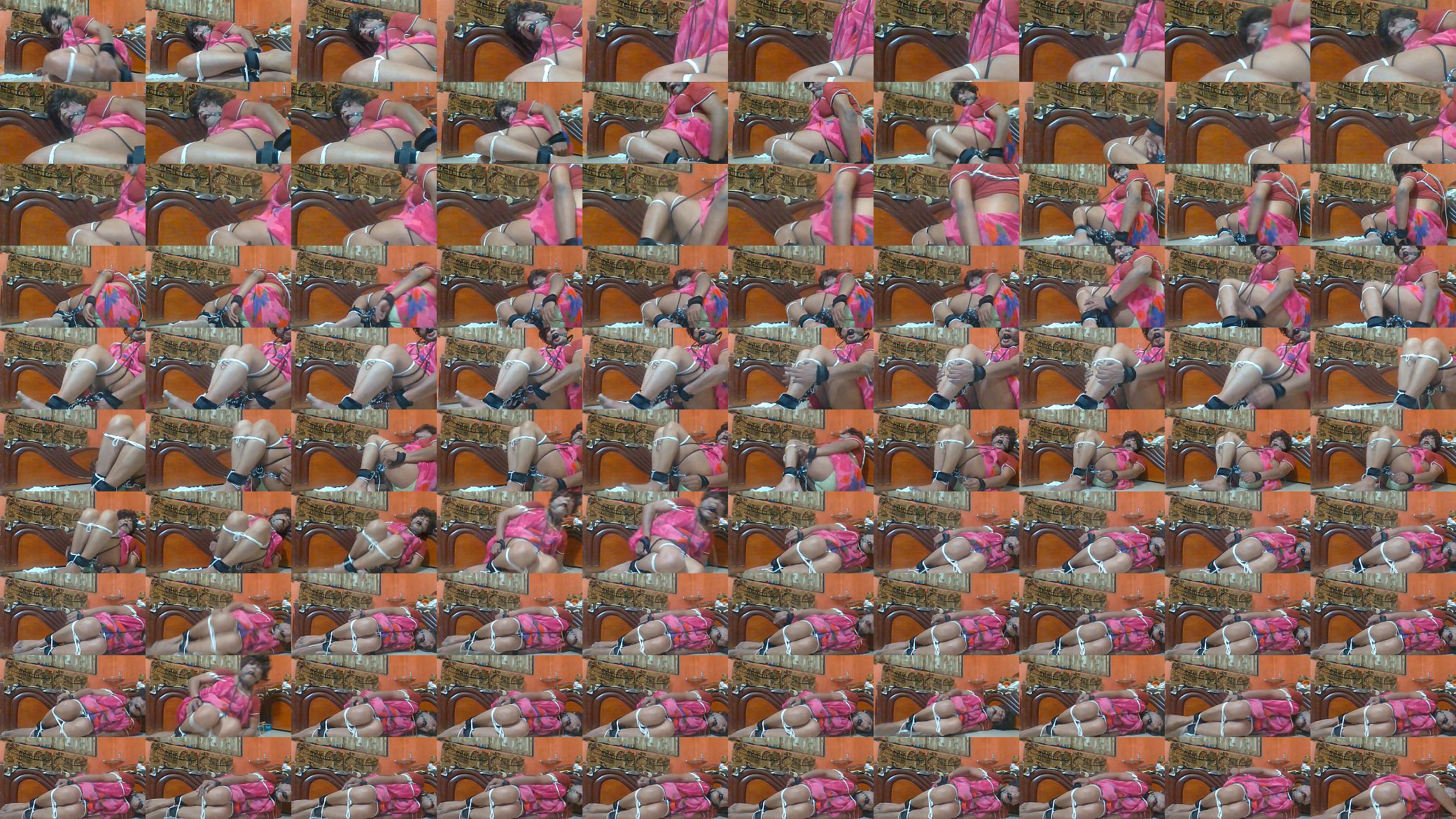 Gagged and hogtied Slave 预览图