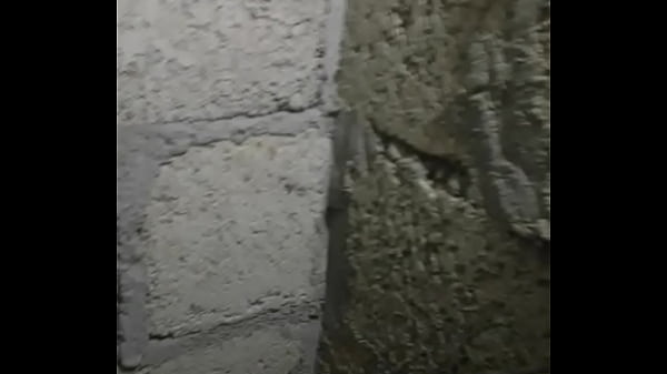 Video xác minh