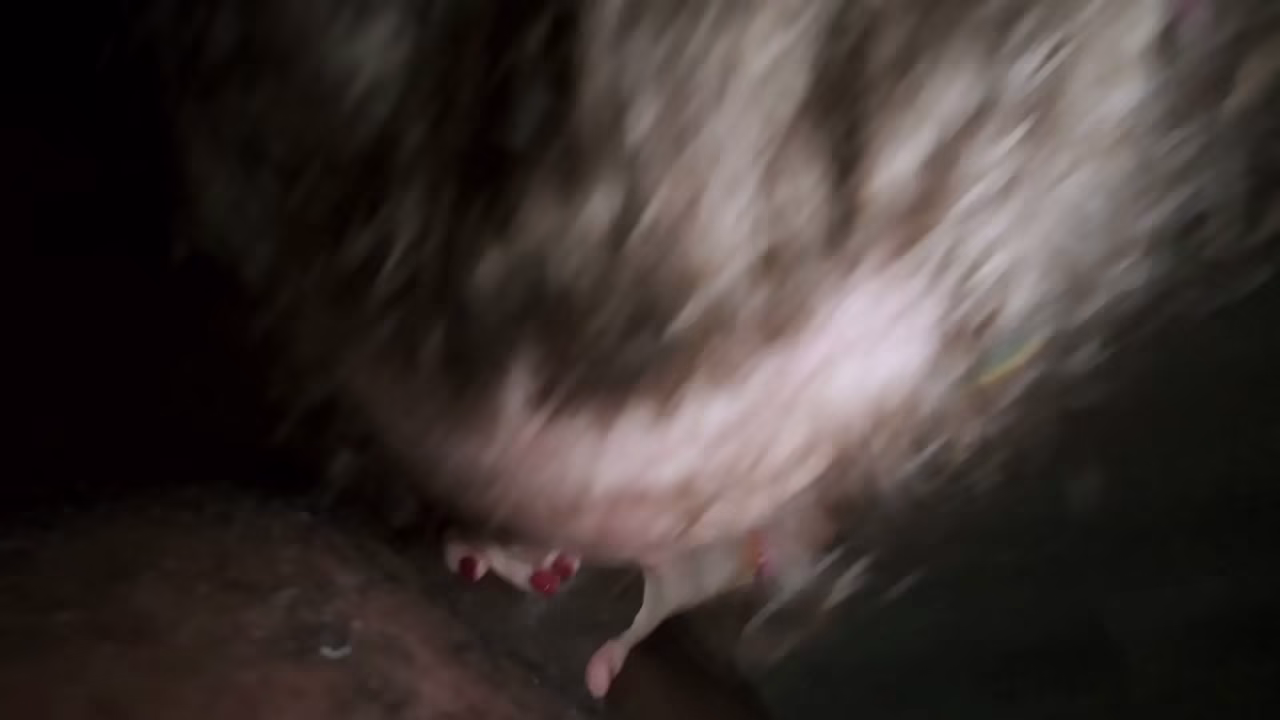 POV of the camera Man getting his Dick sucked n Fucked