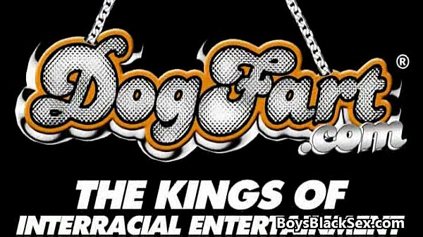 Gay Black Bareback Dick Sucking And Fucking Video 21