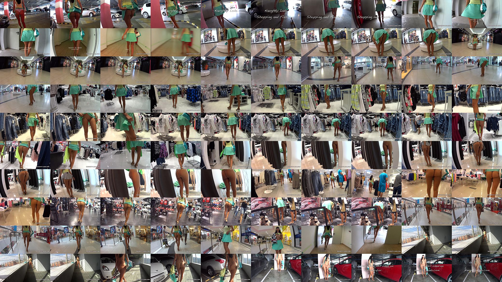 Flashing and Shopping 预览图