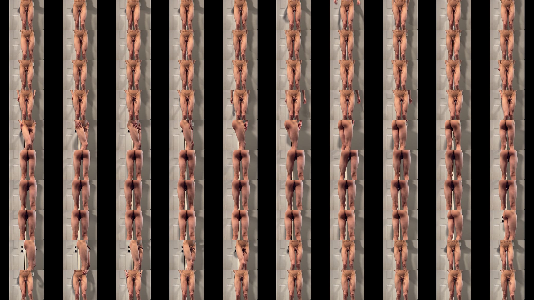 Verification video 预览图