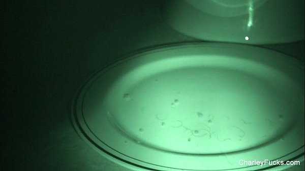 Charley's Night Vision Amateur Sex