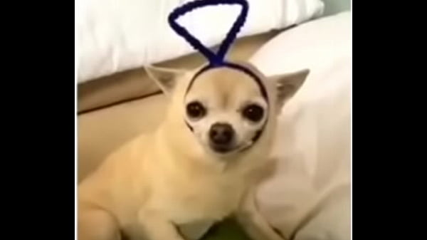 Cute Petite with Cosplay, Angry when Filmed