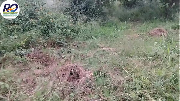 Fast time, Bhabhi called to fuck in the jungle, removed her saree and blouse and showed her pussy and boobs and inserted her dick in her ass from behind, Hindi audio, Claire Vaise