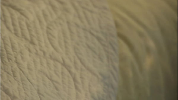 Antonella Jones Gets Destroyed by Two BBC Stepbrothers in Every Position - full movie!