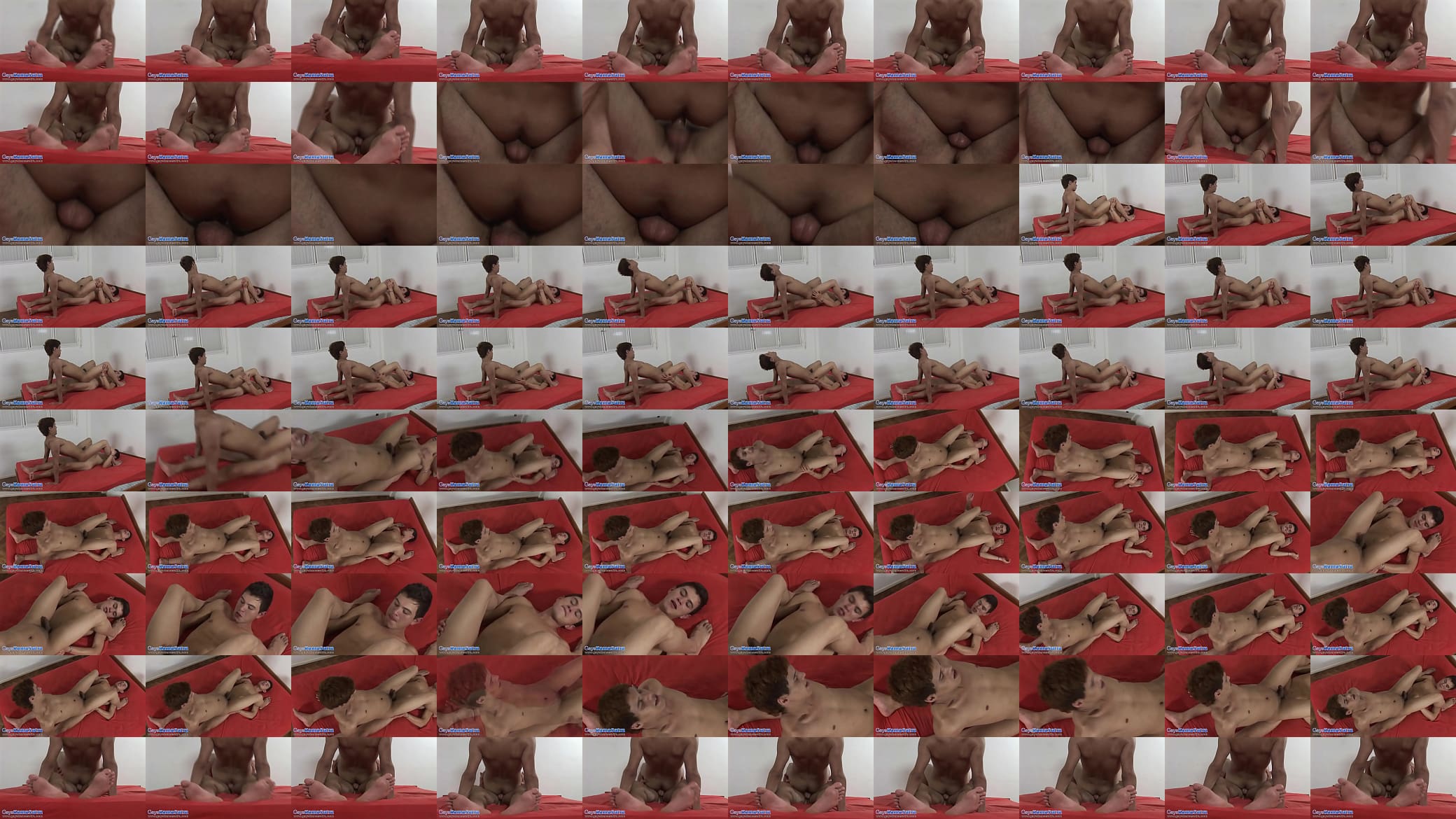 Gays Kamasutra pose: Fusion 预览图