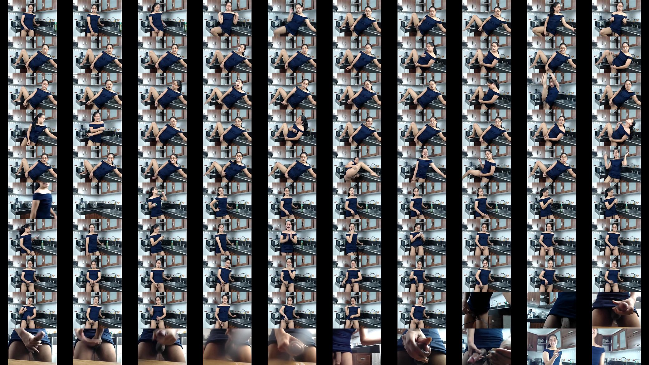 Skarleeth webcam 3 预览图