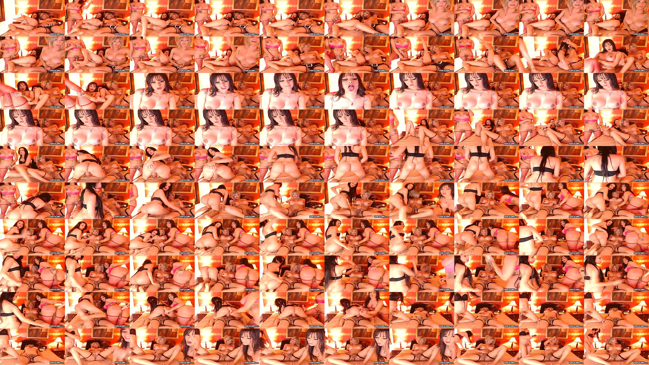 Burning Tranny Floozy With Friends 预览图