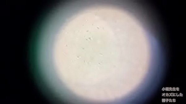 自分の精子を確認するラッパー