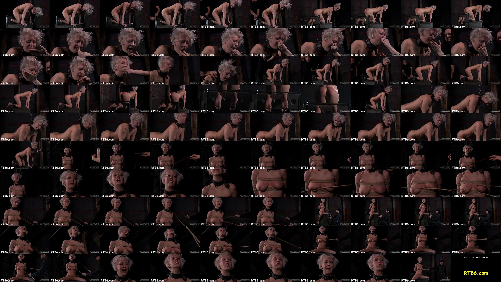 Sadomasochism kinks 预览图