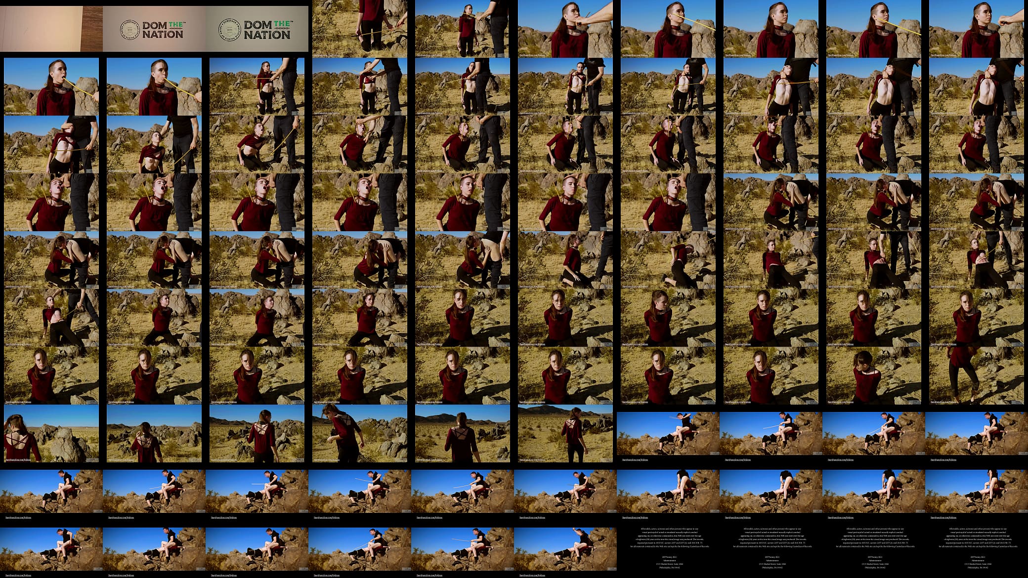 Petite, hardcore submissive masochist Brooke Johnson drinks piss, gets a hard caning, and get a severe facesitting rimjob session on the desert rocks of Joshua Tree in this Domthenation documentary 预览图