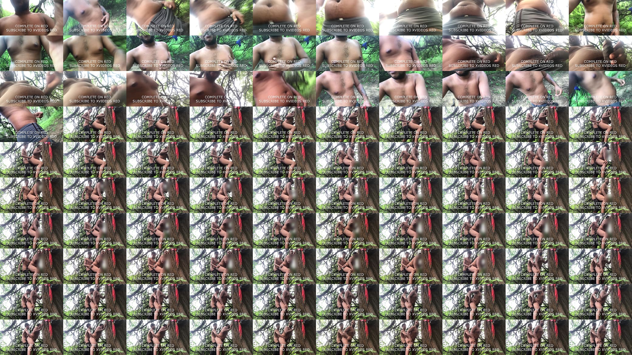 87 A old video in the woods 预览图
