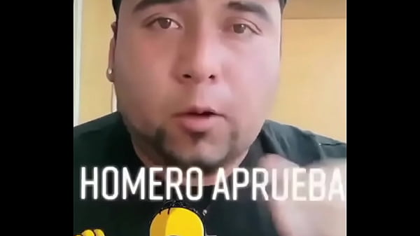 Homer Stimmt Zu