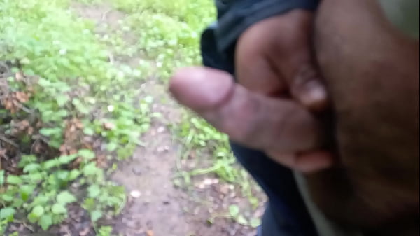 Pomper Mon Lait Dans La Forêt
